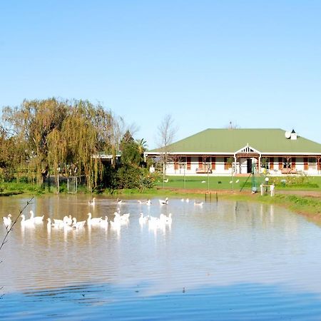 Hoopenburg Guesthouse Klapmuts Екстериор снимка