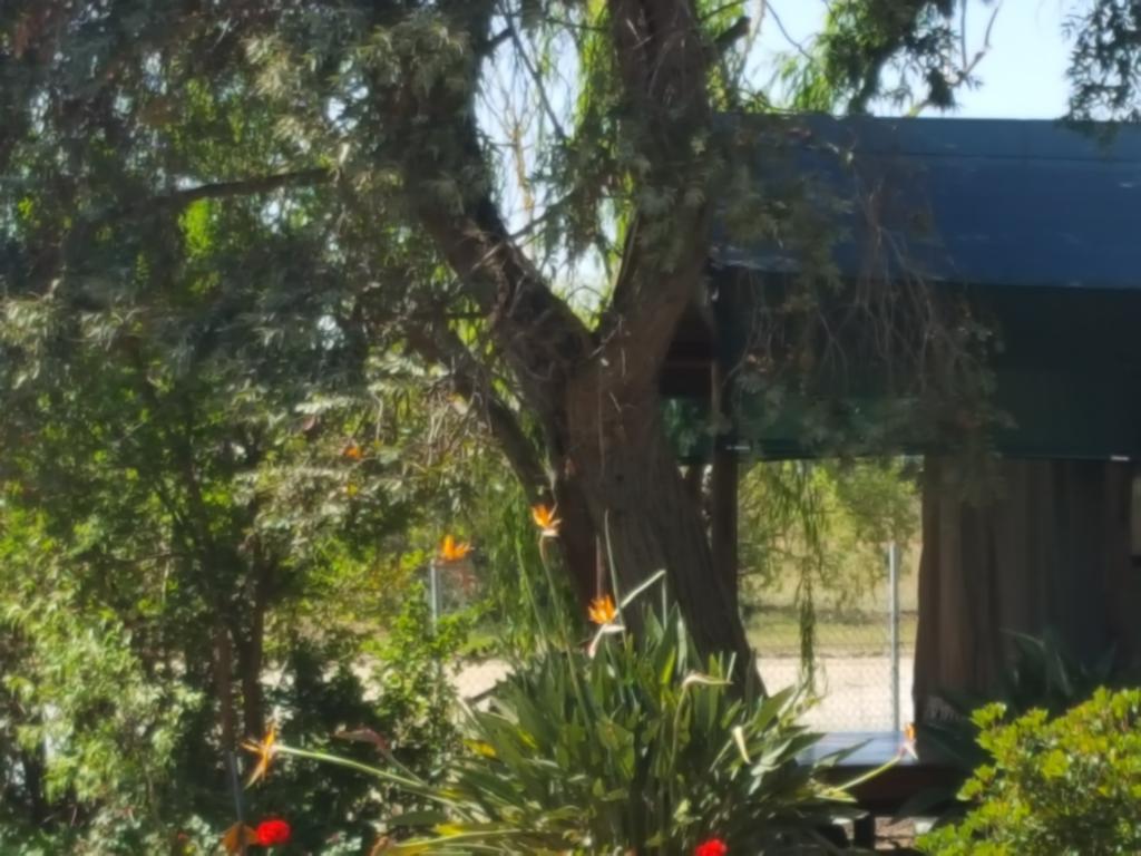 Hoopenburg Guesthouse Klapmuts Екстериор снимка